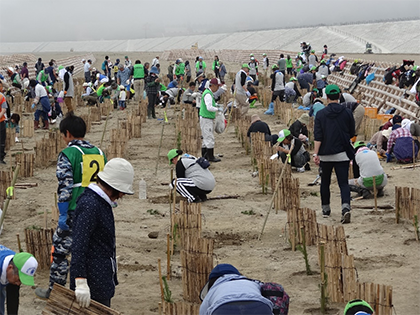 高田松原再生植樹祭の様子